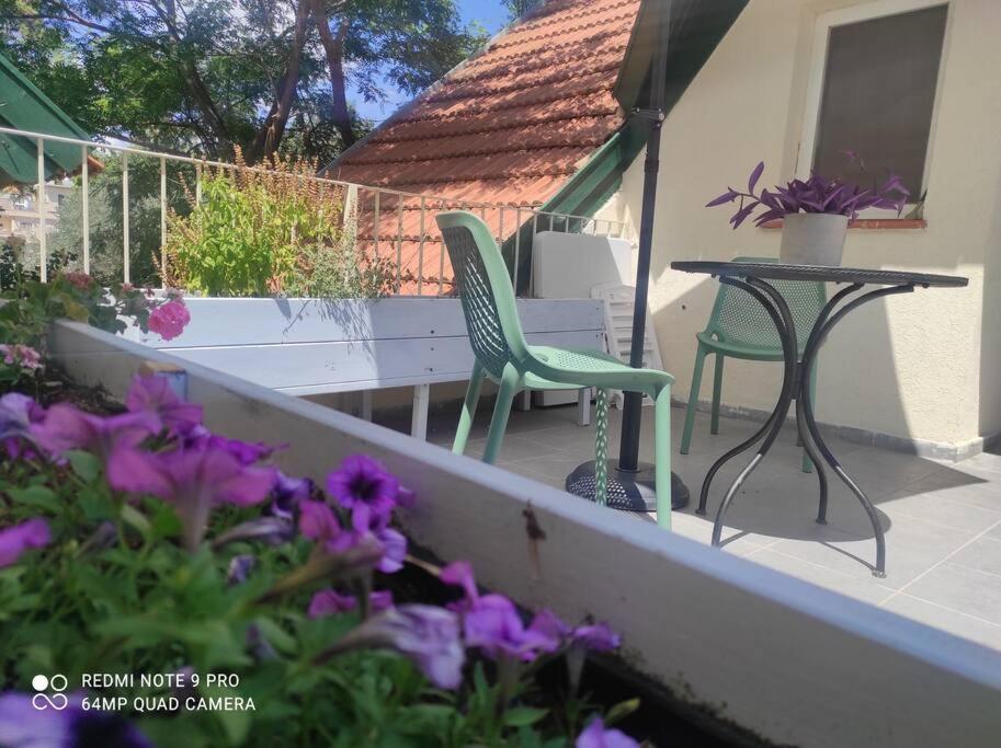 Amanda'S Place Central Modern Spacious Family Apt Зіхрон-Яаков Екстер'єр фото